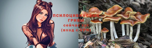 мдпв Вязники